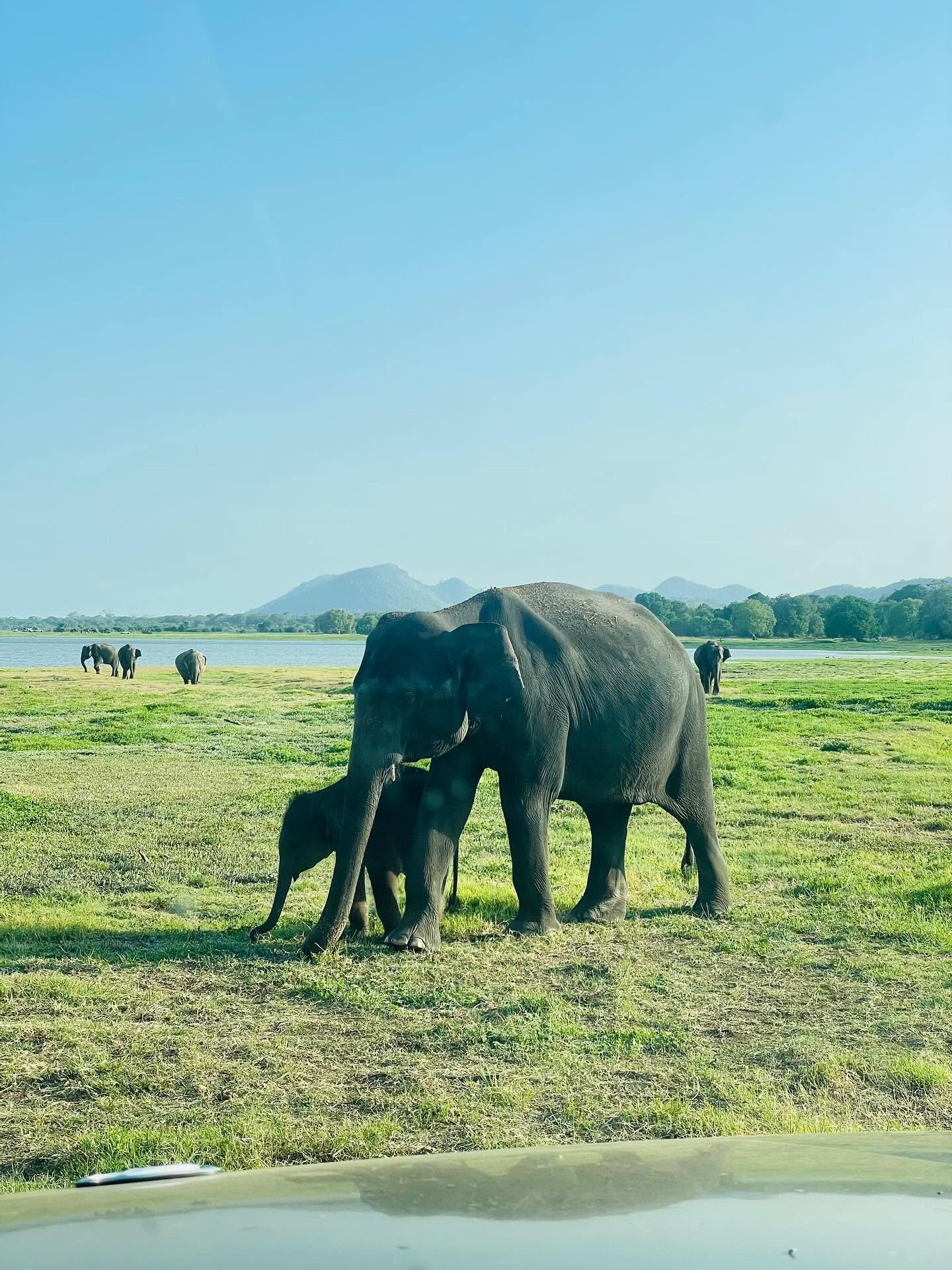 Private & Group Tours